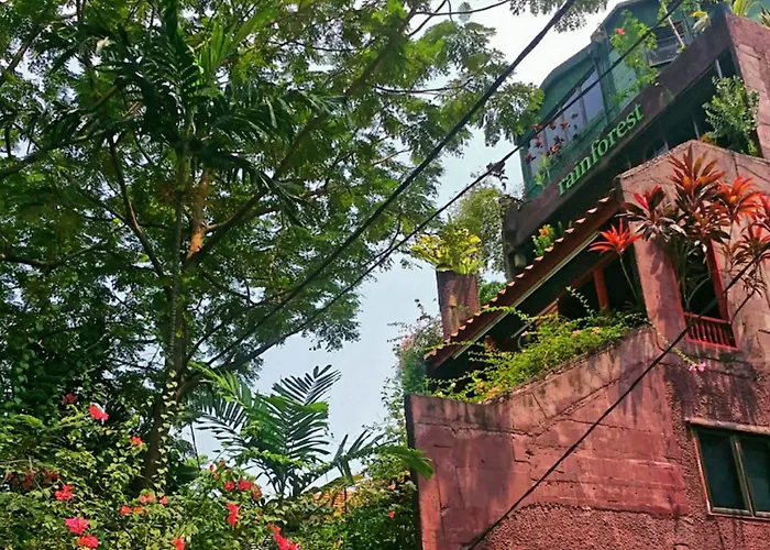 The Hostels Rainforest Bed & Breakfast
