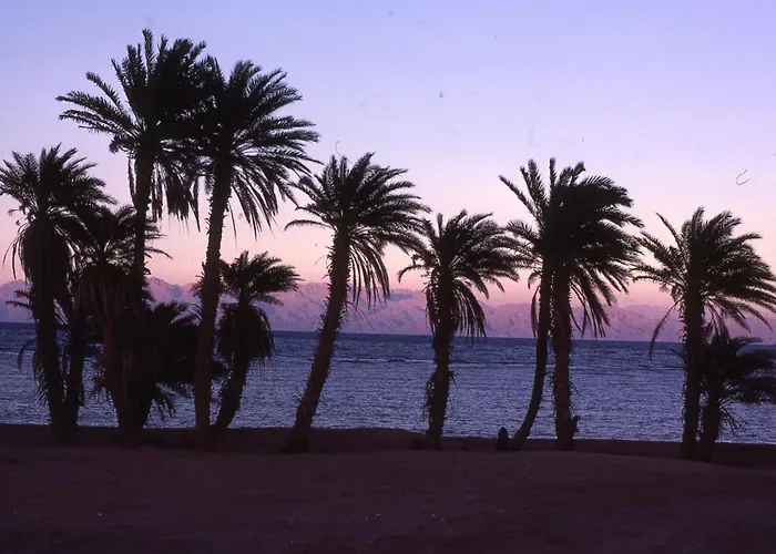 Hostel: Star Of Dahab Hotel