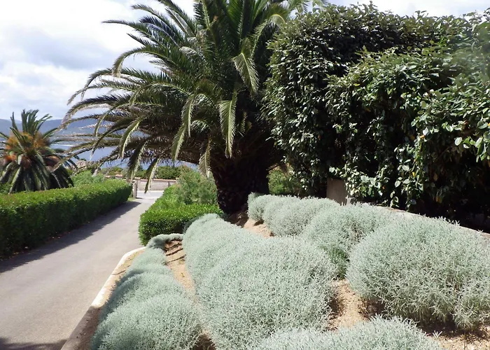 Marina Di Fiori