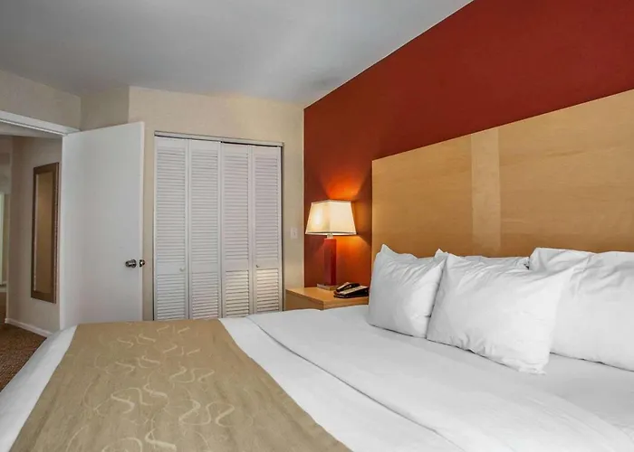 Hotel nahe College: Comfort Suites Michigan Avenue