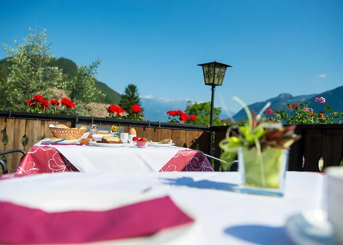 Hotel: Pension Stamserhof