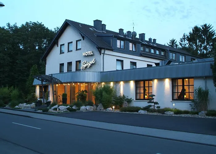 Spiegel