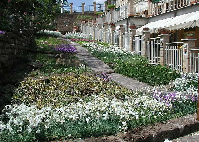 Oasi Di Pace