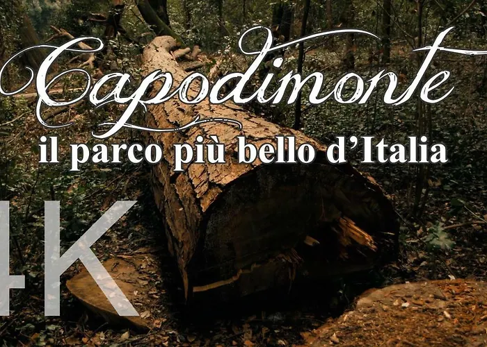 Resort: Alla Corte Del Re Dimora Storica