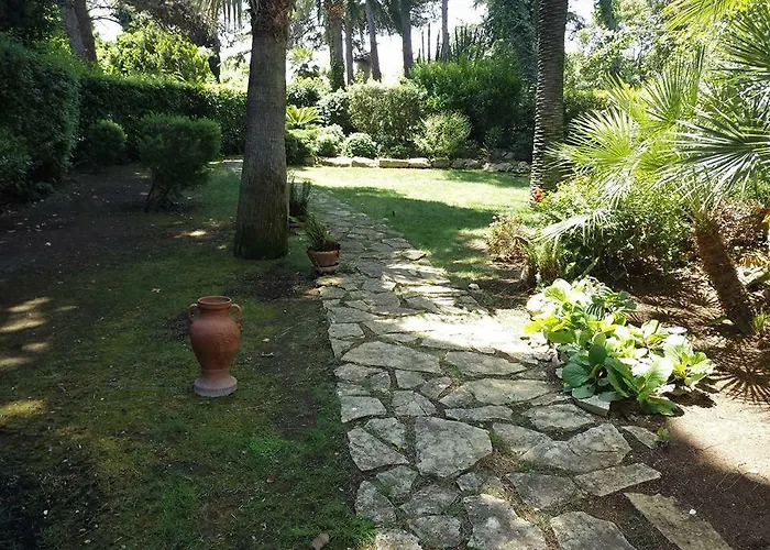 Natural Home
