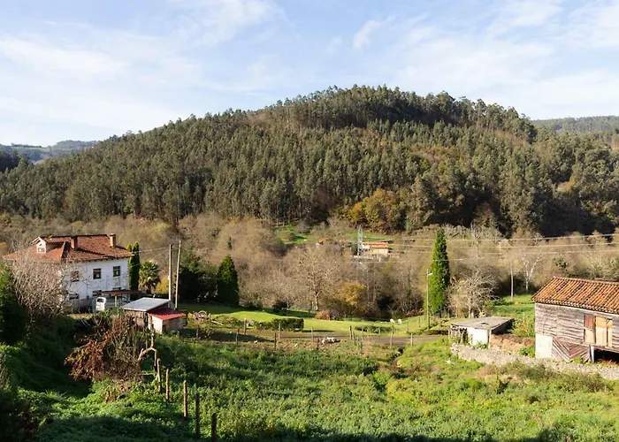 Cabina: Casa Delfina