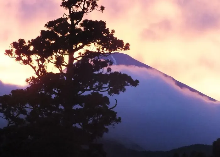 4 star hotel: Hananoyado Fukuya
