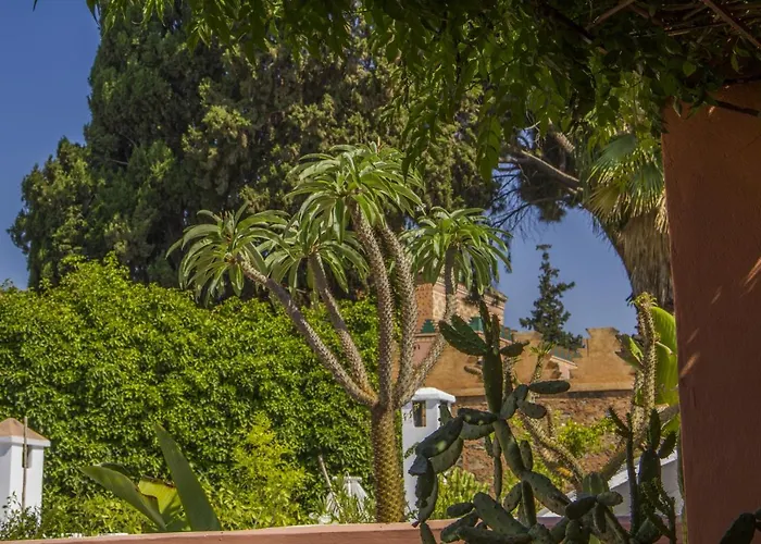Riad Majala