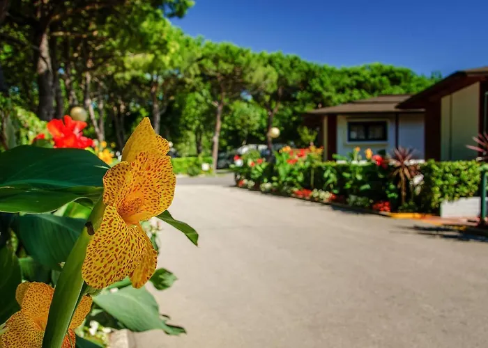 Campeggio: Camping Village Miramare