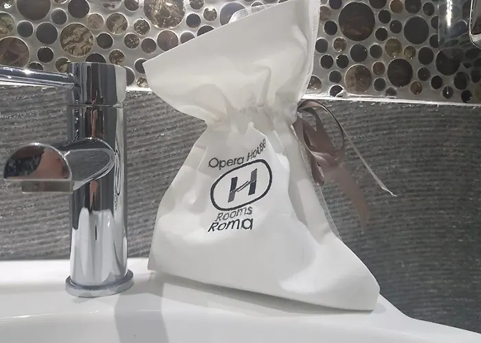 Hotel adatto agli animali: Opera House Guest, Roma centro storico